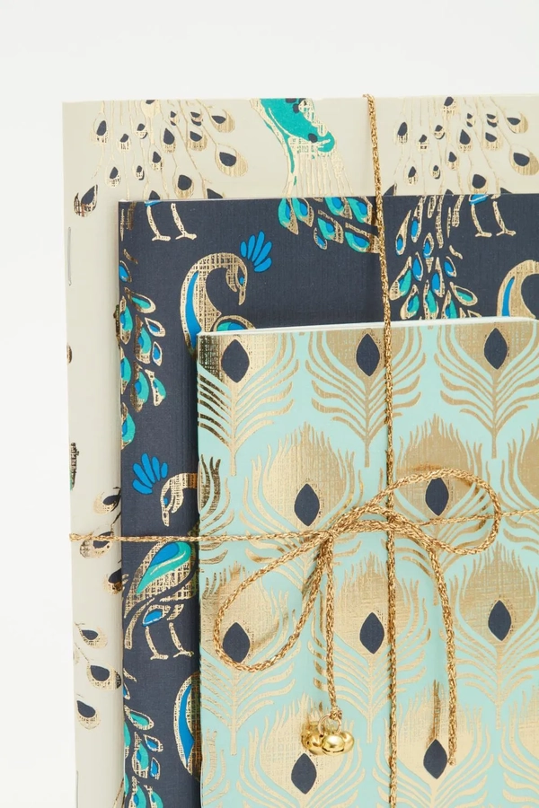 cuaderno peacock set x3