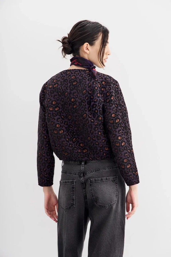 campera new york animal