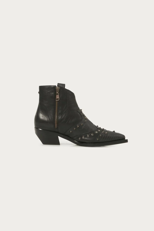 bota tex dessert new