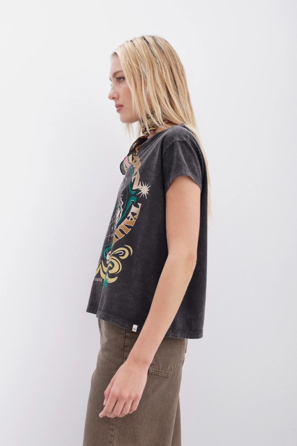 remera tierra