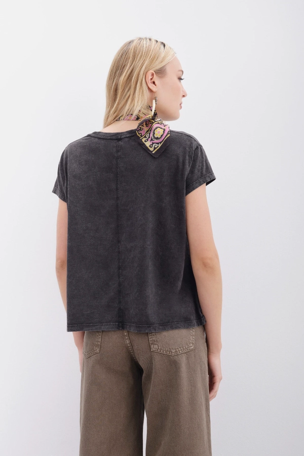remera tierra