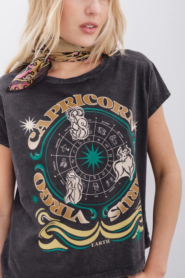 remera tierra