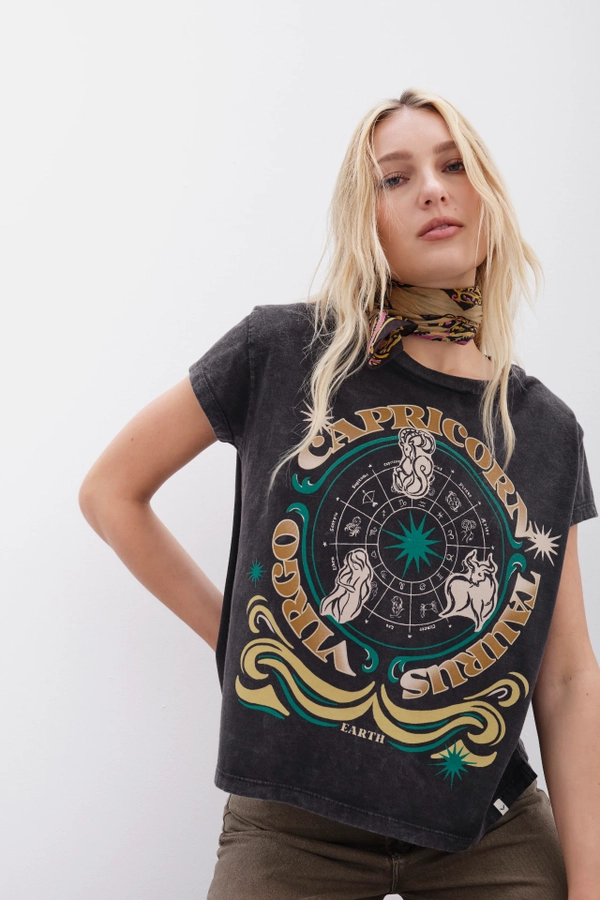 remera tierra