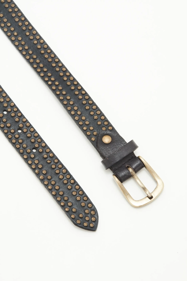 cinturon studs